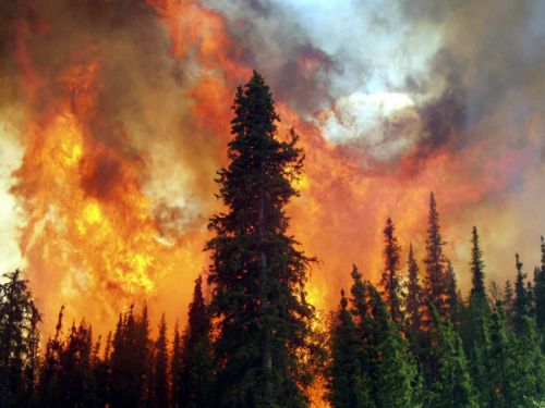 美国西部山火持续蔓延