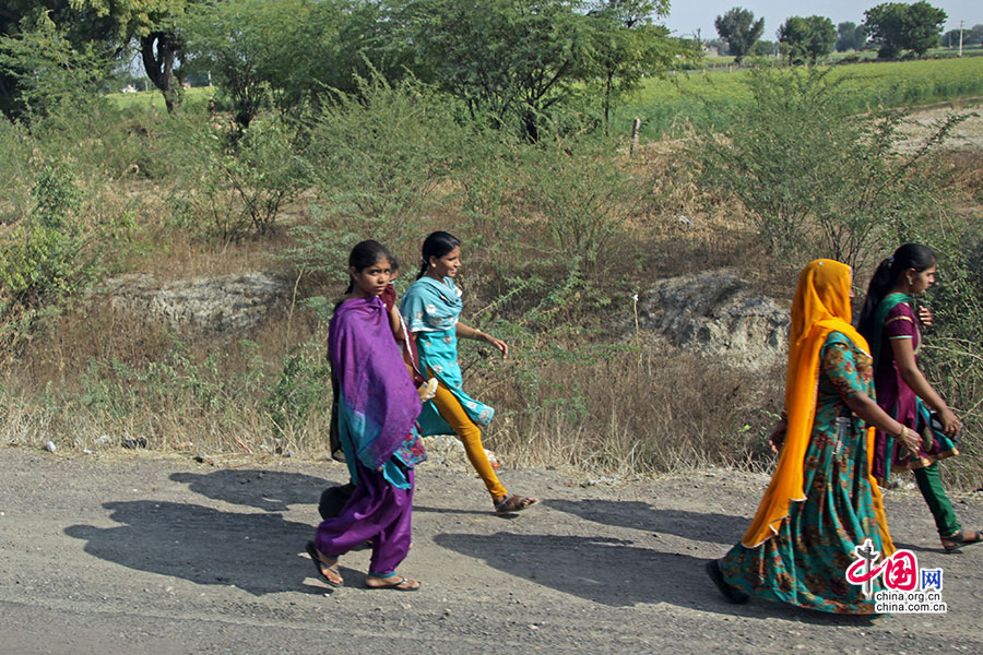 西拉贾斯坦的乡村曼妙修长的少女们