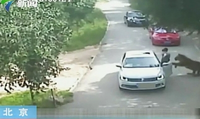 被老虎咬伤女当事人首次发声 向动物园索赔200余万