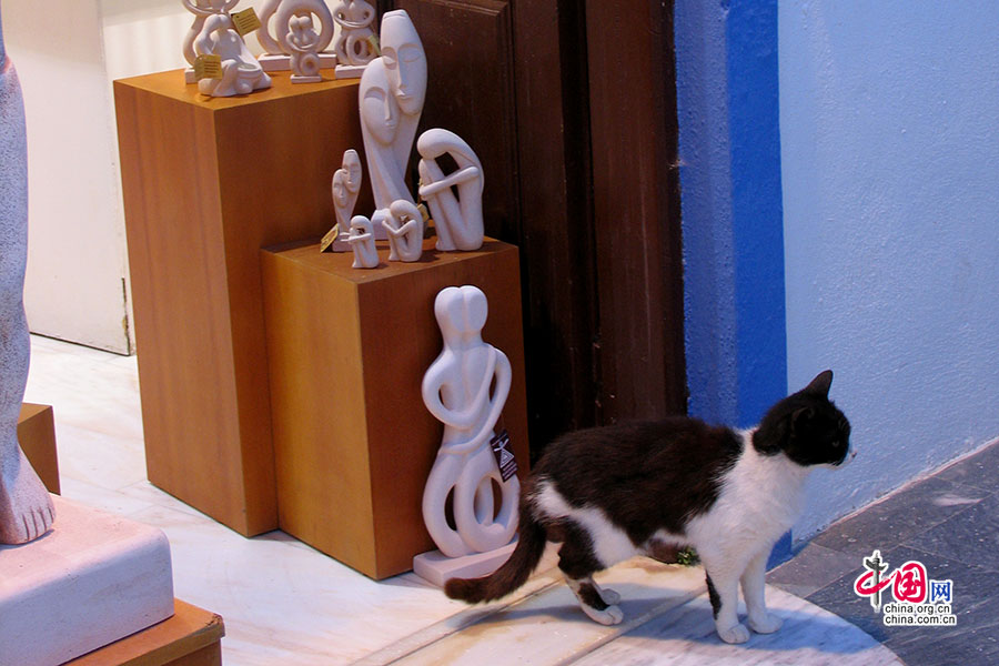 猫和雕塑
