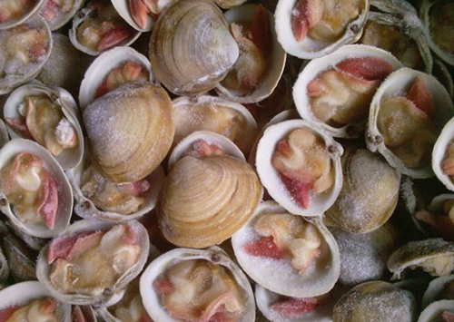 广东一男子生食贝类竟致死