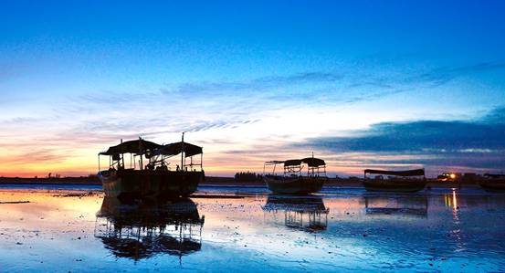 44343518_11_看图王