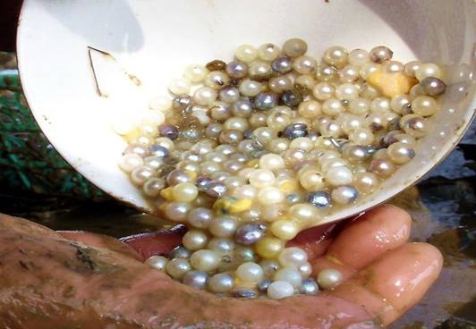 WB100910_5_看图王