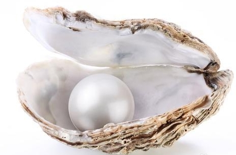 9f1011b30f2442a7fa106d06d343ad4bd1130233_看图王