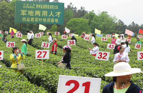 布拖县农村人口年纯收入_布拖县2013年乌科乡(3)