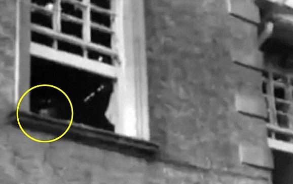 照片中惊现女幽灵 盘点全球灵异事件秒杀行尸