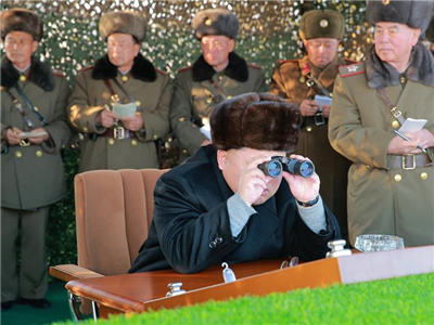 朝鲜总统金成恩图片