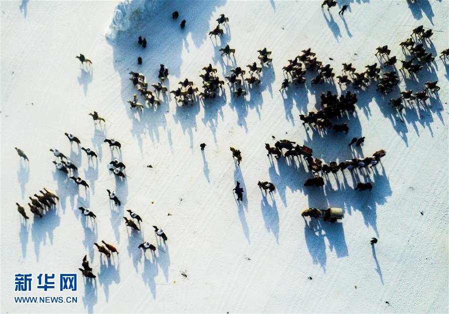 内蒙古第十四届冰雪那达慕在西乌珠穆沁旗开幕