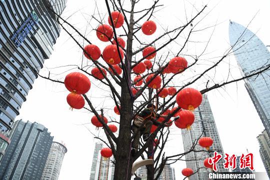 图为重庆街头工作人员正在树干上挂灯笼。　陈超　摄