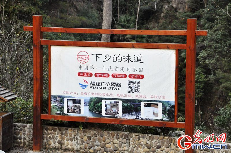 【网络媒体走转改】“互联网+”开辟下党村精准脱贫快速路