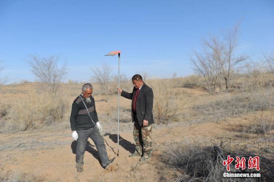国家林业局:中国荒漠化和沙化程度双减轻