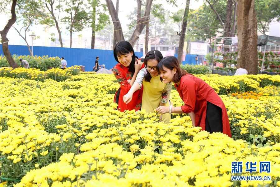 越南胡志明市举办春节花市