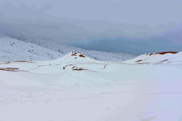 撒哈拉沙漠居然下雪 积雪厚达1米