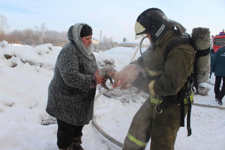 俄消防员火海救猪 怀抱猪崽接力营救画面感动众人