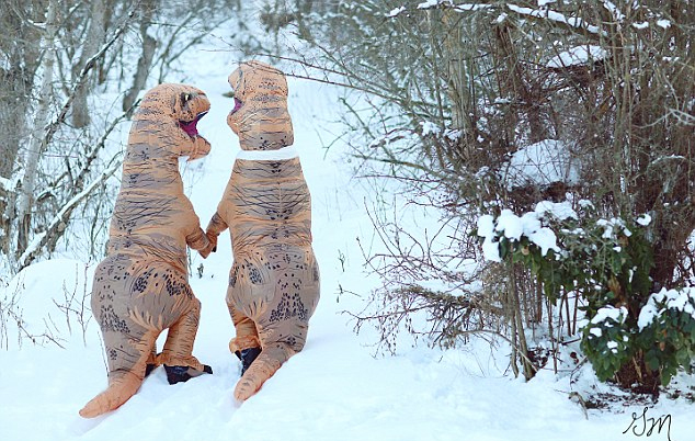 有趣！美摄影师镜头下的“恐龙夫妻”订婚照(组图)