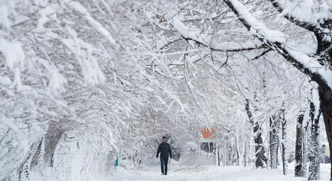 人口雪崩_出生人口雪崩 这件事有多严重 芥末堆(3)