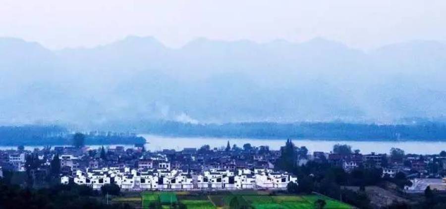 杭州回迁房惊呆网友:简直住进吴冠中的画里