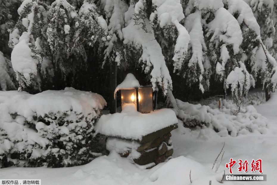 美国多地遇暴风雪天气
