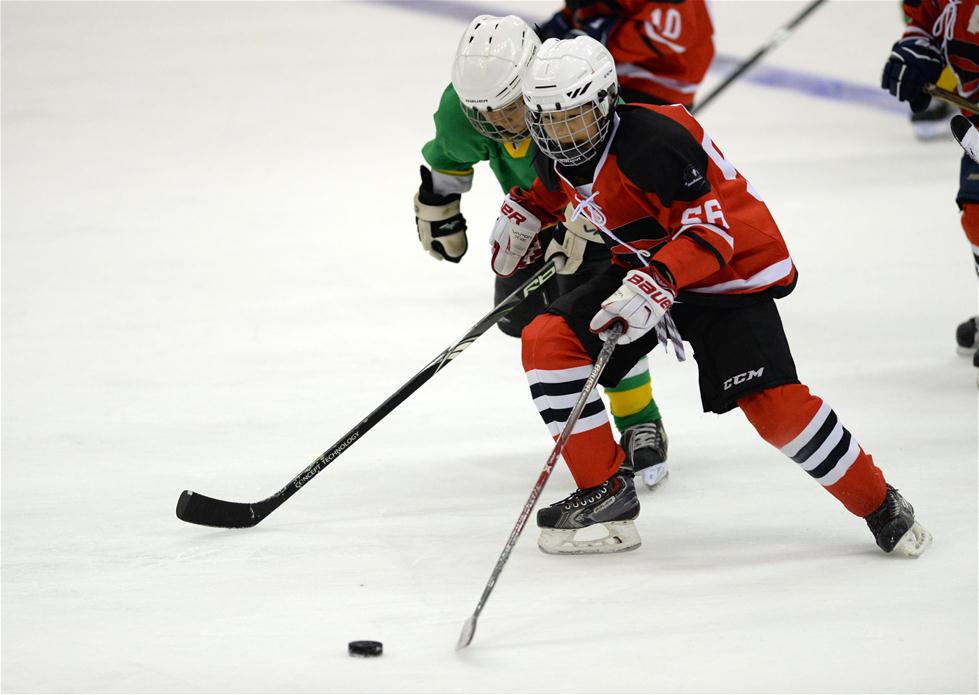 首届全国少儿冰球大奖赛开赛