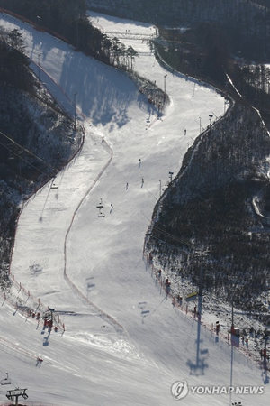 资料图片:图为平昌阿尔卑西亚度假村的滑雪道.(韩联社)