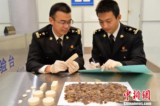 杭州海关查濒危动植物制品走私截获数百穿山甲鳞片