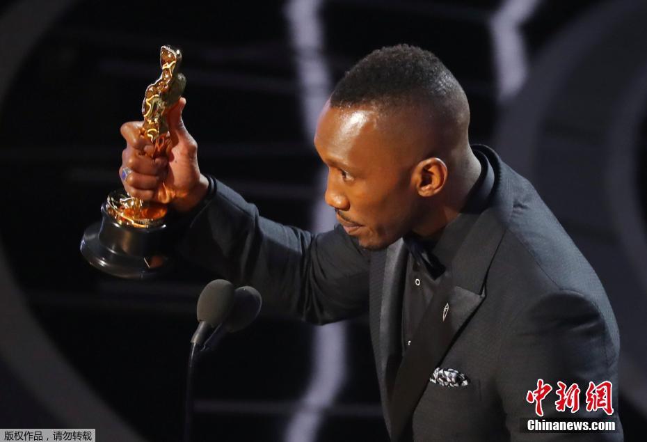 第89届奥斯卡揭晓 《爱乐之城》未获最佳影片