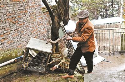 一个人的动物园 经营难以为继 已被当地停业整