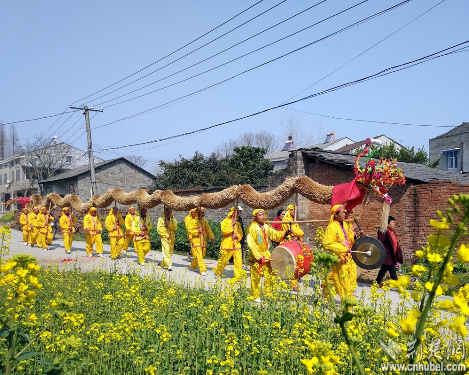 “草把龙”游村。记者 吴坚 赵恒 摄影