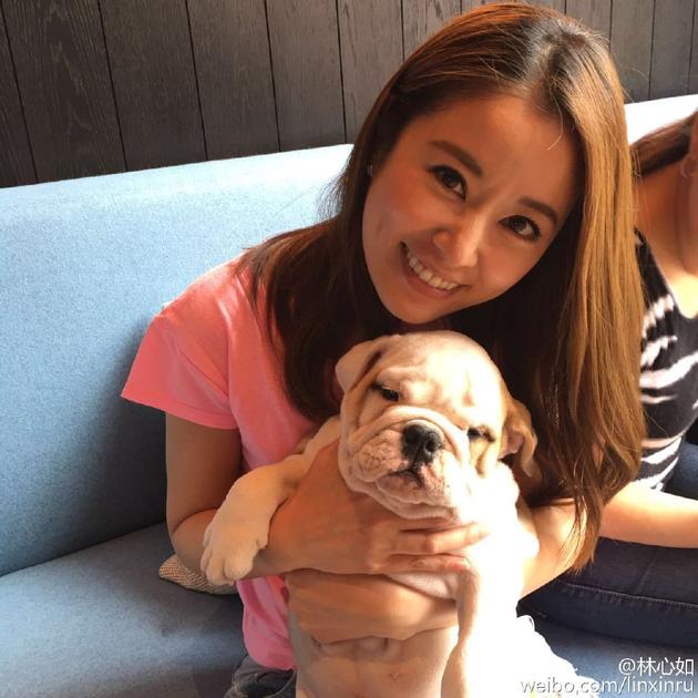 林心如亮相笑容甜 抱狗狗面瘫像霍建华【图】