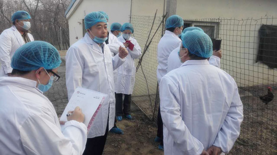 德州扒鸡 德州扒鸡