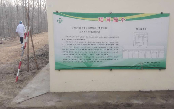 德州扒鸡 德州扒鸡