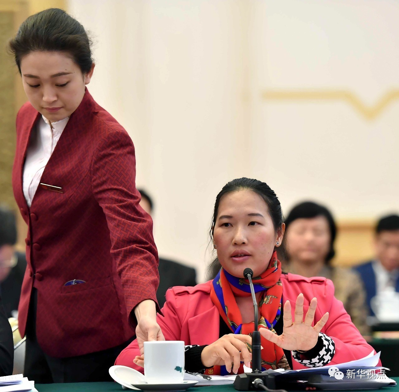 万紫千红总是春——两会会场上的亮丽风采