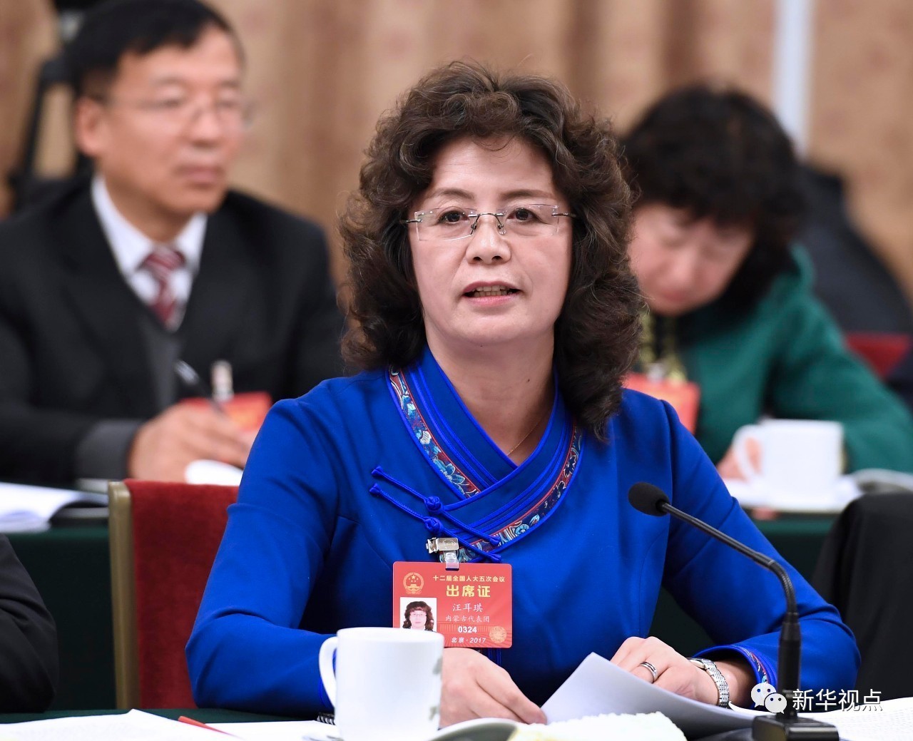 万紫千红总是春——两会会场上的亮丽风采