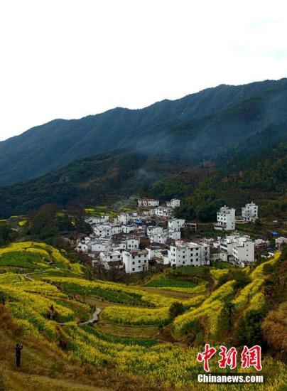 全国人大代表：启动南方乡村风景林保护与修复工程