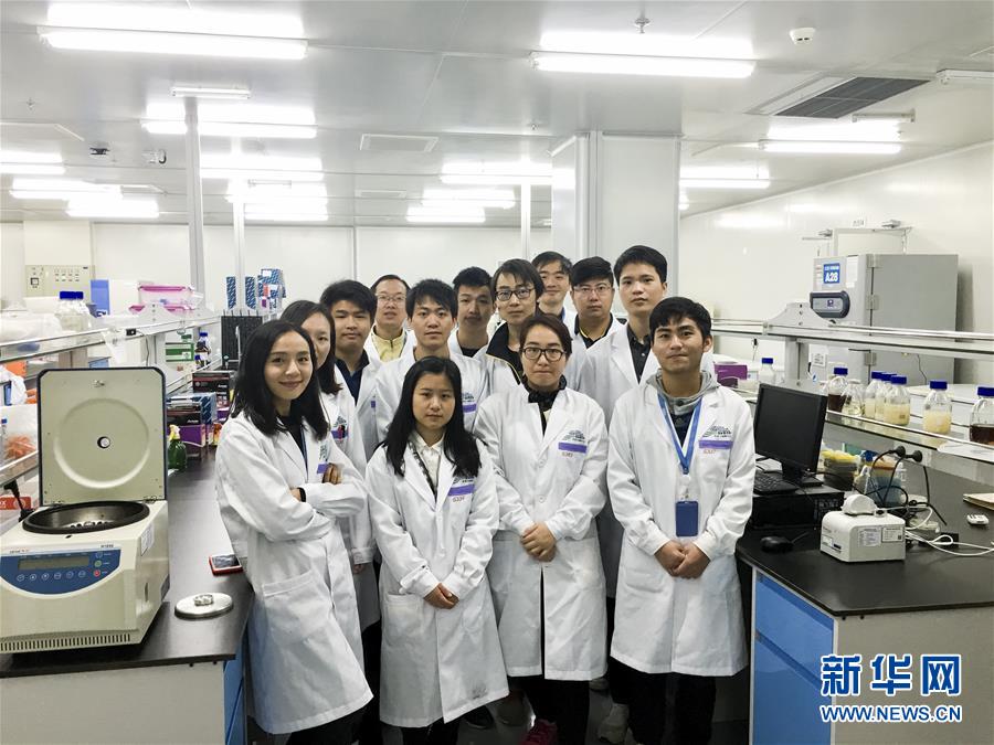 我国科学家利用化学物质合成完整活性染色体( 02 / 11 )