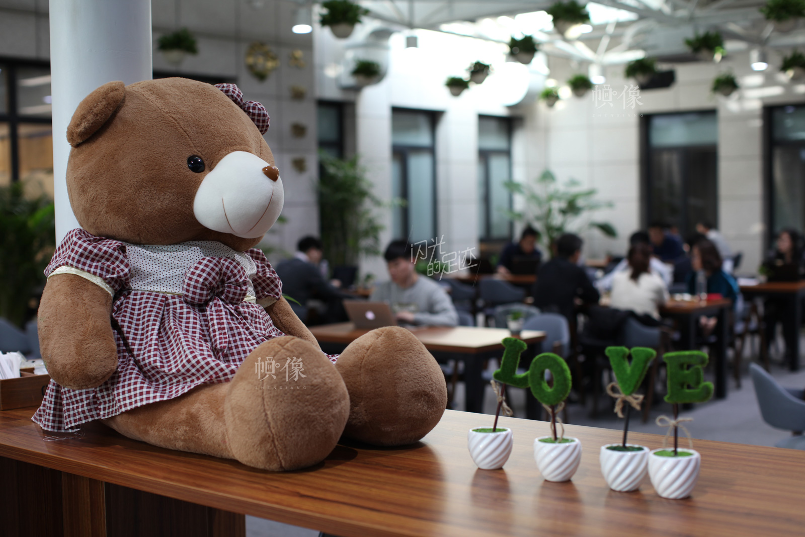 借贷宝公司内部的咖啡厅是公司一大特色，员工可以来这里讨论工作，也可以单纯的只是来喝杯咖啡小憩一下。咖啡厅管理者为了营造温馨的气氛，在桌上摆上了动物熊的玩偶。中国网记者 赵超 摄