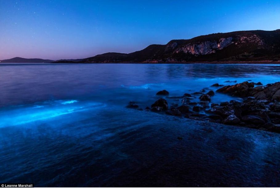 神秘的海中“極光” 幽藍海水宛若仙境