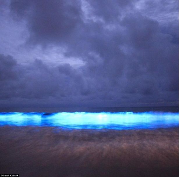 神秘的海中“极光” 幽蓝海水宛若仙境
