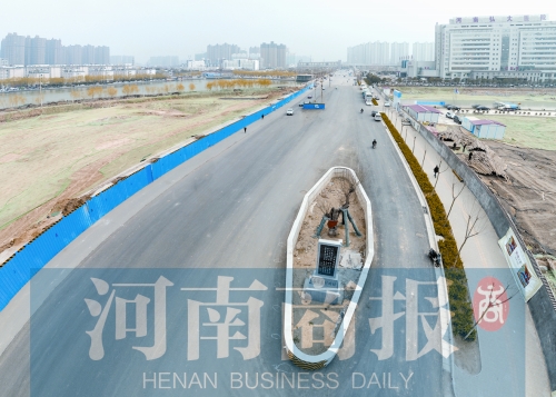 郑州最牛“钉子树”已有300年历史 主干道为它留地方