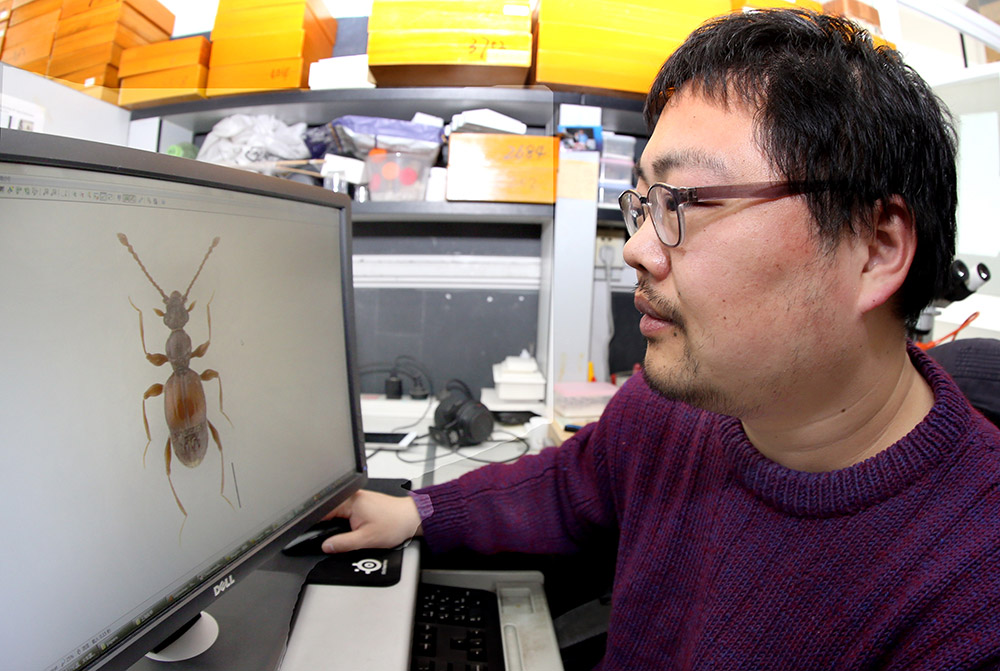 3月16日，上海师范大学生命与环境科学学院副教授殷子为通过电脑屏幕观察“西郊公园毛角蚁甲”。
