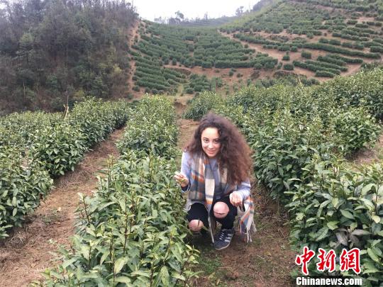 外国“小鲜肉”化身“茶农”采茶品茗探千年茶文化