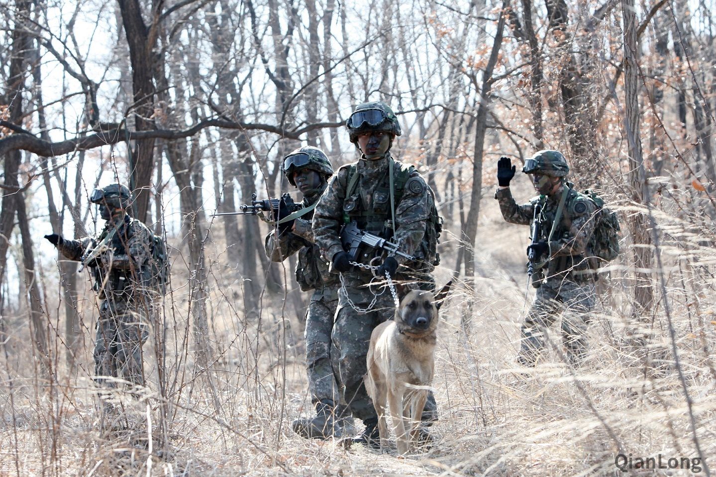 01.演习中的韩军部队，其中还有一只军犬。