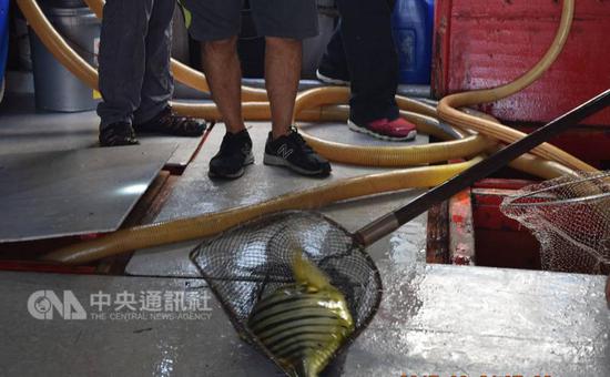 需要指出的是，漁民們是在台灣認為是自己領海的水域非法捕魚。與此同時，據報道，這艘漁船是在中國香港特別行政區註冊的。