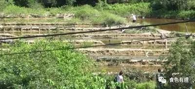 深呼吸：繁华香港的寂寥空气