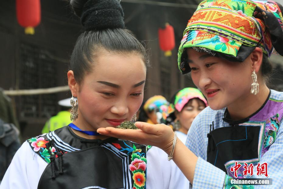 湘西保靖茶农现场竞技传统手工制茶工艺(组图)