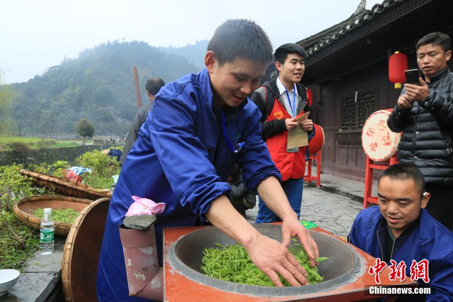 湘西保靖茶农现场竞技传统手工制茶工艺(组图)