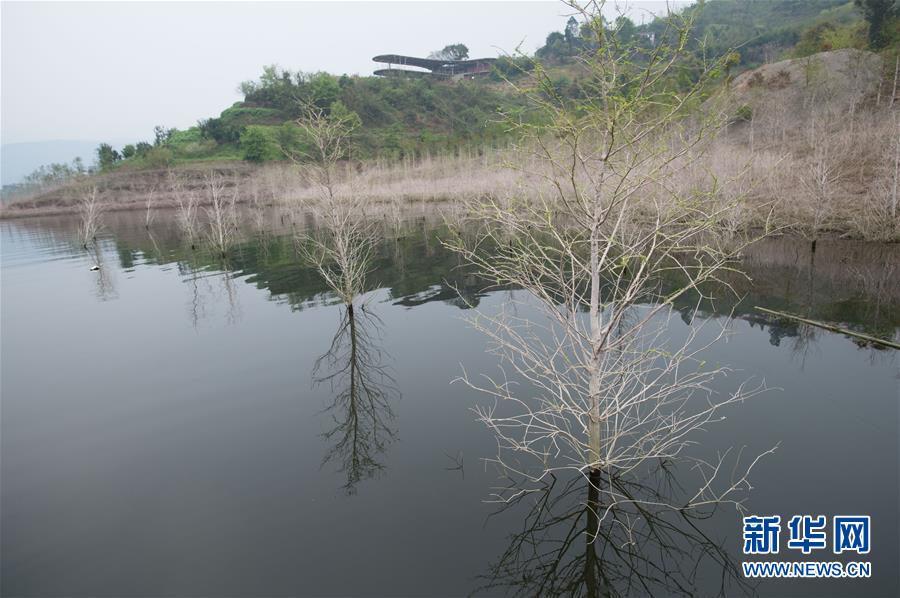 （生态）（3）重庆建设长江上游生态屏障