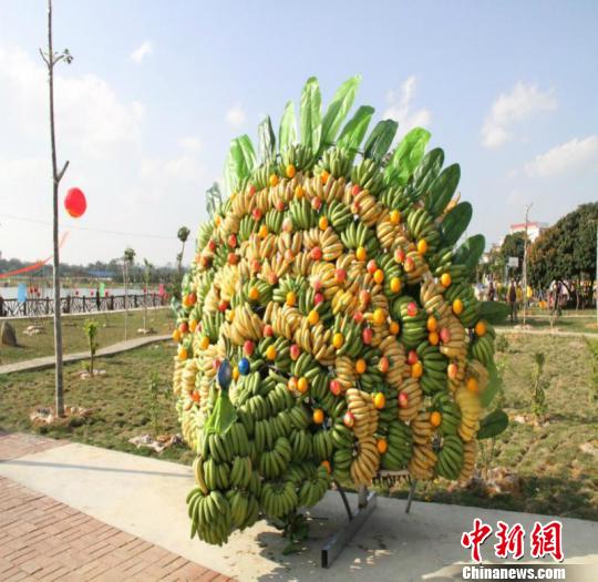 广西南宁游客用数十吨香蕉狂欢