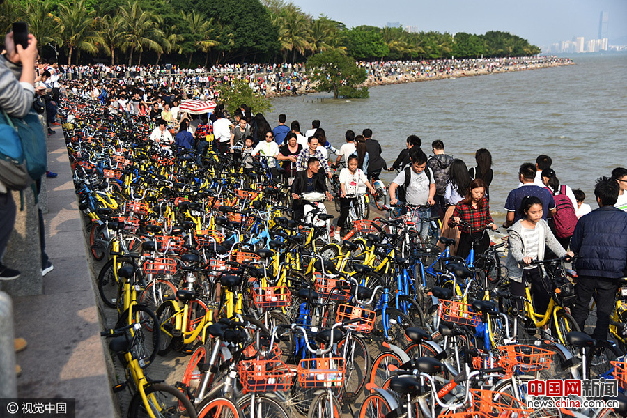 清明节长假的深圳湾 栈道停满共享单车