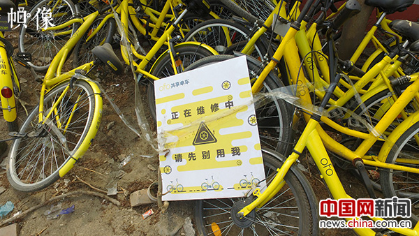 2017年3月30日，工作人员将被损坏的单车进行收集，准备送回维修点。中国网记者 高南 摄